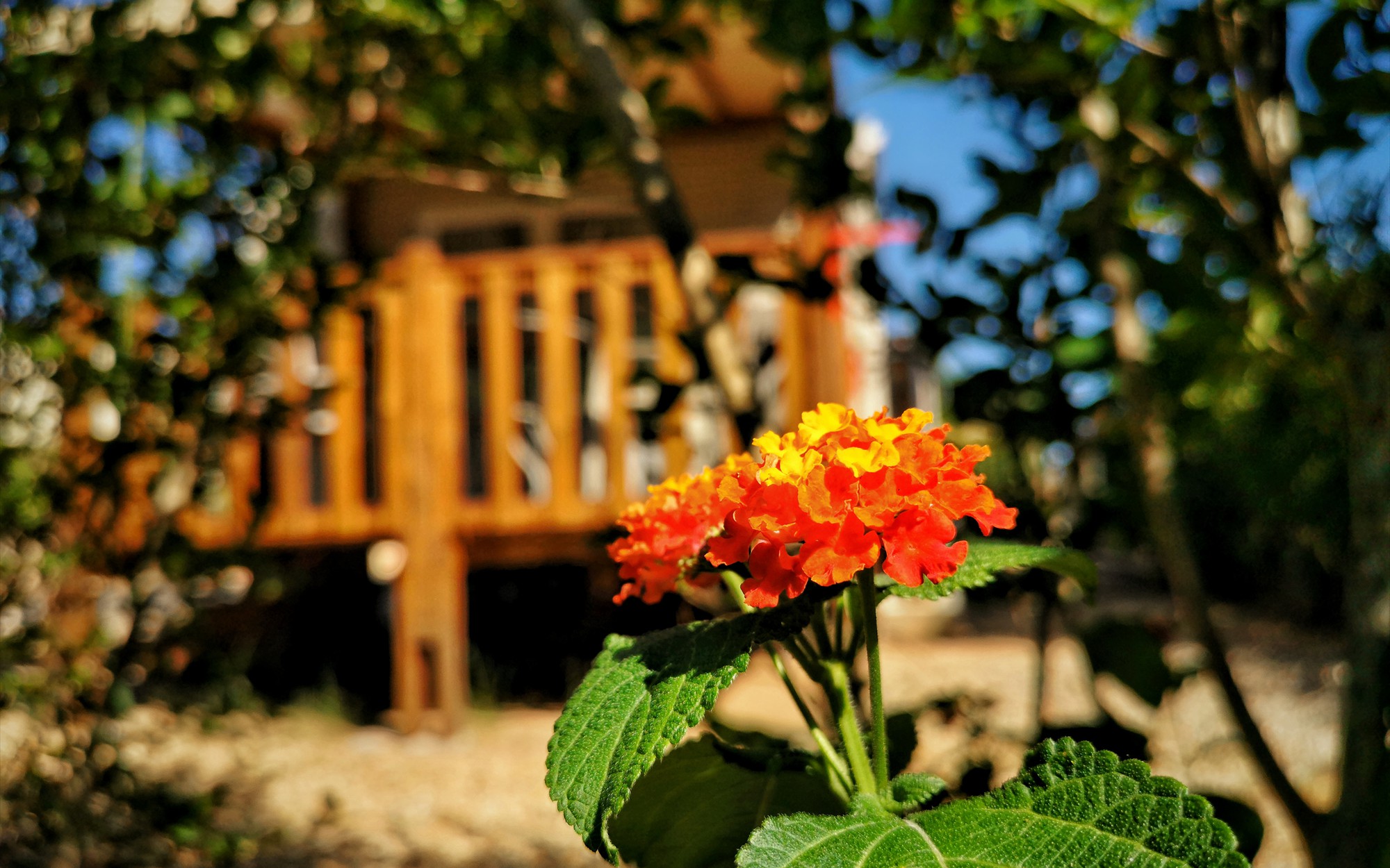 IMG_20190814_164133-01